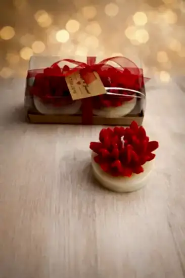 Sukulent Mum Model 14 İkili Set | Nikah Hediyesi