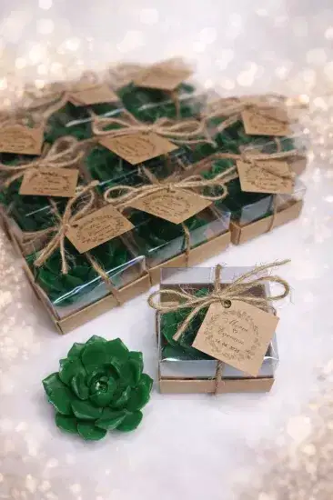 Sukulent Mum Model 10 Nikah Şekeri | Hediyelik