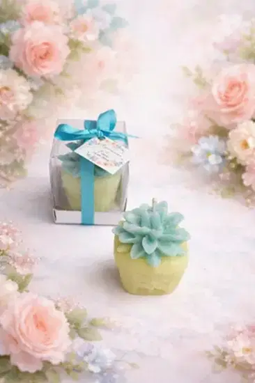 Sukulent Mum Model 1 | Nikah, Dekoratif Mum