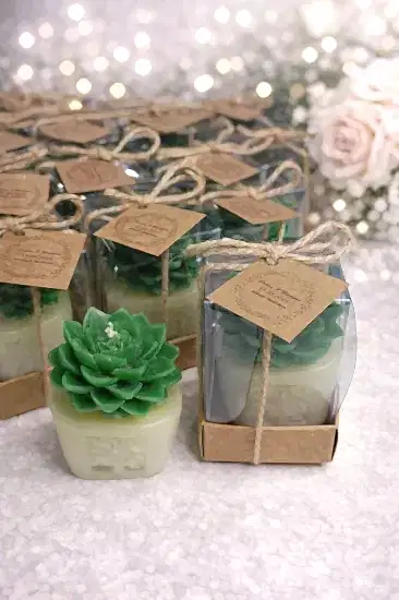 Sukulent Mum Model 4 |  Söz Nişan Düğün Hediyeliği