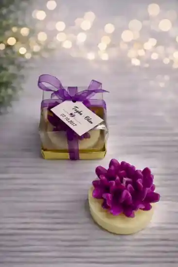 Sukulent Mum Model 14 | Nişan Davet Hediyeliği