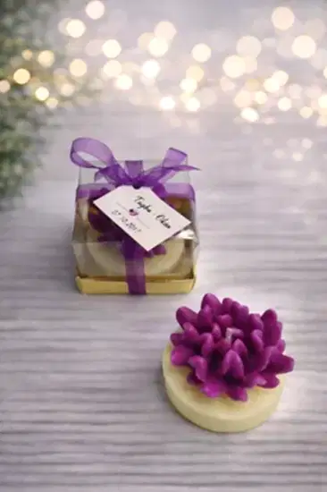 Sukulent Mum Model 14 | Nişan Davet Hediyeliği