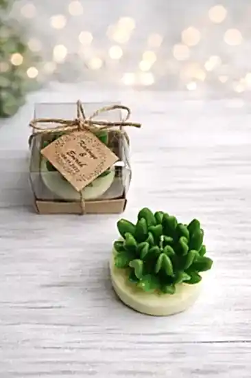 Sukulent Mum Model 14 | Nişan Davet Hediyeliği