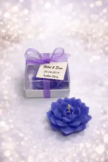 Sukulent Mum Model 10 Nikah Şekeri | Hediyelik