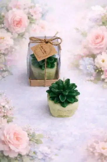 Sukulent Mum Model 1 | Nikah, Dekoratif Mum
