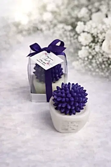 Sukulent Mum Model 2 | Nikah, Nişan ve Kına Mumu