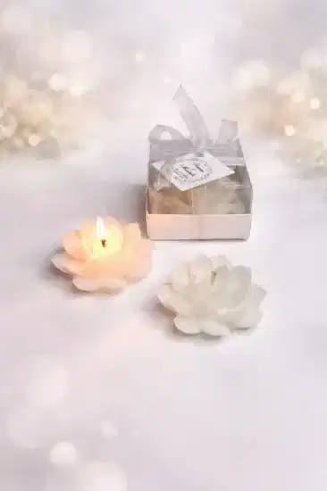 Sukulent Mum Model 10 Nikah Şekeri | Hediyelik