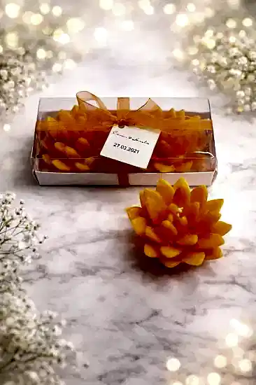 Sukulent Mum Model 12 İkili Set | Nikah Şekeri Mum