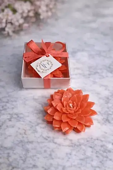 Sukulent Mum Model 9 | Yeni Sezon Nikah Şekeri Mum