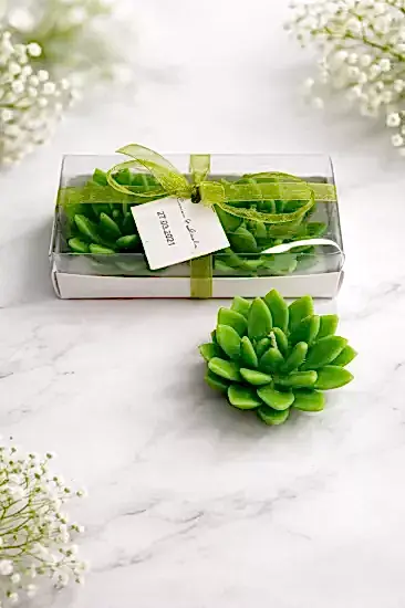 Sukulent Mum Model 12 İkili Set | Nikah Şekeri Mum