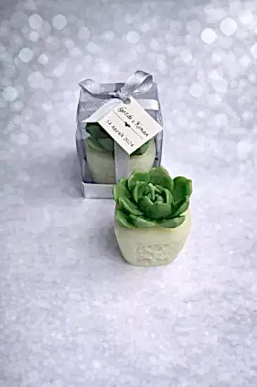 Sukulent Mum Model 7 | Dekoratif ve Hediyelik Mum