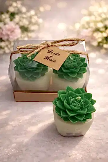 Sukulent Mum Model 4 İkili Set | Şık Zarif Hatıra