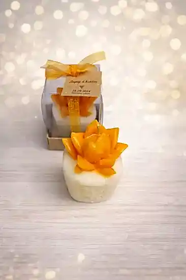 Sukulent Mum  Model 3 | Nikah, ve Bebek Hediyesi