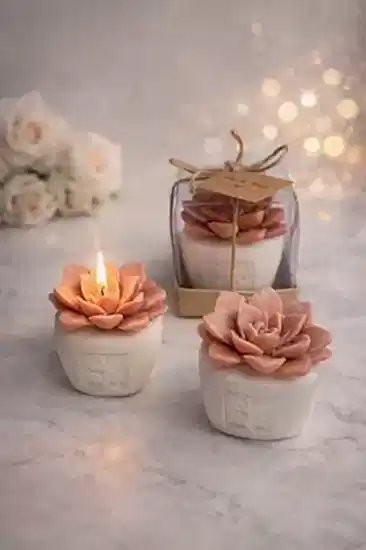 Sukulent Mum Nikah Şekeri | Mum Nikah Şekeri