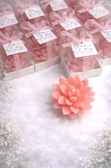 Sukulent Mum Model 12 | Nikah Davet Hediyeliği