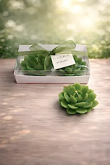 Sukulent Mum Model 10 İkili Set |  Nikah Şekeri