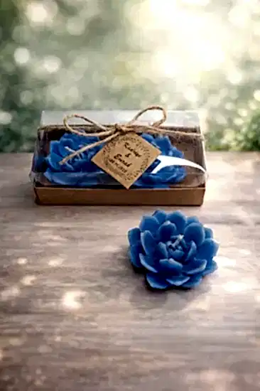 Sukulent Mum Model 10 İkili Set |  Nikah Şekeri