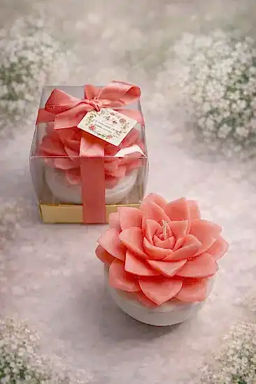 Büyük Boy Sukulent Mum Echeveria – Nikah Şekeri