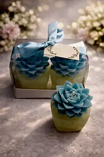 Sukulent Mum Model 4 İkili Set | Şık Zarif Hatıra