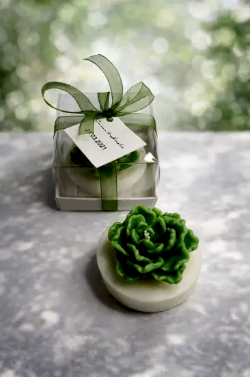 Sukulent Mum Model 13 |  Nikah Davet Hediyeliği
