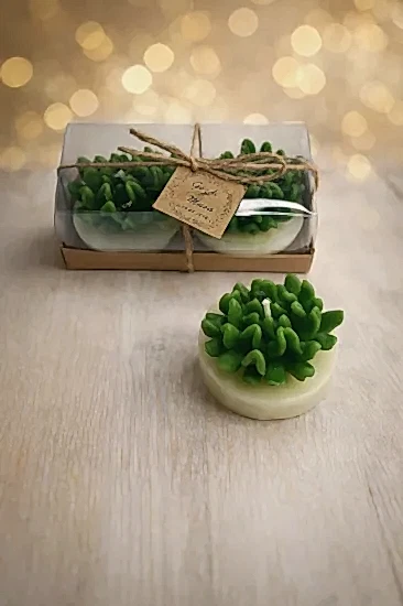 Sukulent Mum Model 14 İkili Set | Nikah Hediyesi