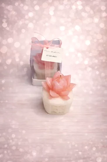 Sukulent Mum  Model 3 | Nikah, ve Bebek Hediyesi