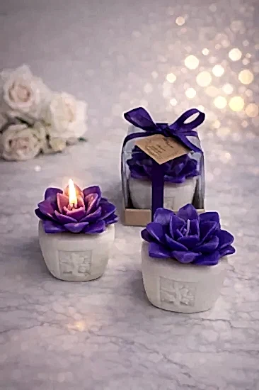 Sukulent Mum Nikah Şekeri | Mum Nikah Şekeri