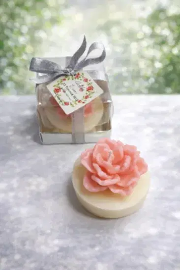 Sukulent Mum Model 13 |  Nikah Davet Hediyeliği