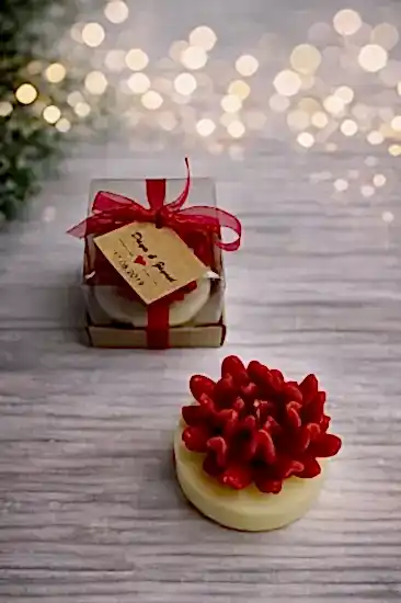 Sukulent Mum Model 14 | Nişan Davet Hediyeliği