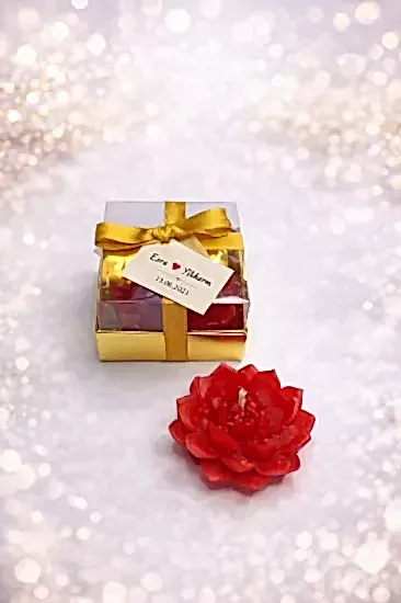 Sukulent Mum Model 10 Nikah Şekeri | Hediyelik