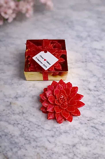 Sukulent Mum Model 9 | Yeni Sezon Nikah Şekeri Mum