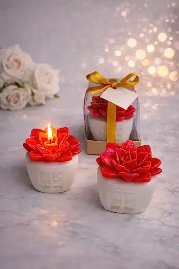 Sukulent Mum Nikah Şekeri | Mum Nikah Şekeri