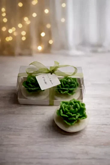 Sukulent Mum Model 13 İkili Set | Nikah Hediyesi