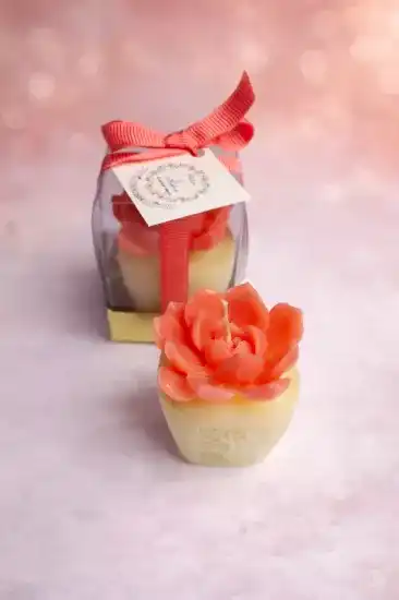 Sukulent Mum Model 7 | Dekoratif ve Hediyelik Mum